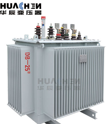 11kv Load Capacity Steel Oil Immersed Distribution Transformer