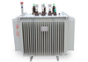 Outdoor Low Noise State Grid Oil Immersed Distribution Transformer