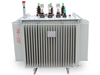 Plane Low Wastage Hydropower Oil Immersed Distribution Transformer