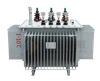 S22 Grade 1 Energy Efficiency Oil-Immersed Distribution Transformer