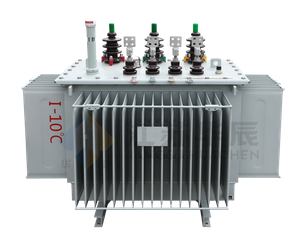 S22 Grade 1 Energy Efficiency Oil-Immersed Distribution Transformer