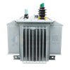 S20 Oil-Immersed Distribution Transformer