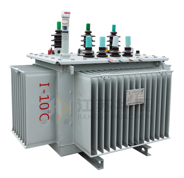 S20 Oil-Immersed Distribution Transformer