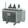 S20 Oil-Immersed Distribution Transformer