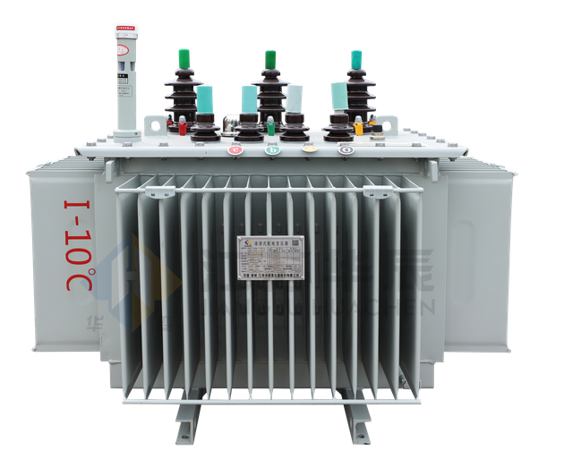 S20 Oil-Immersed Distribution Transformer